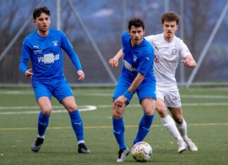 FC Sins: Unentschieden nach 0:3 Rückstand gegen Willisau!