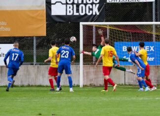 Goldau bezwingt den Spitzenreiter