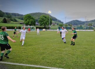 Reiden steigt ab – Wolhusen kämpft weiter um Ligaerhalt