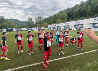 Trotz 12 Absenzen: Kriens siegt gegen Paradiso