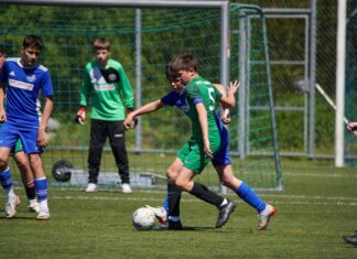 Diskussion um die Carte Blanche