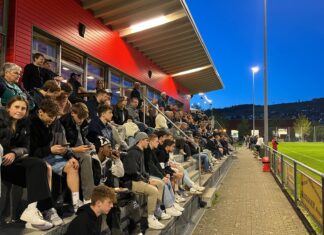 Gruppeneinteilung 3. Liga: Rottaler Vereine geschockt