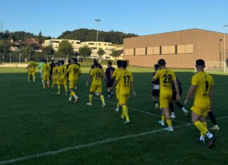 Auswärtssieg in Schenkon für das «neue» FC Emmenbrücke II