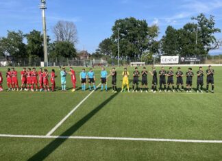 Cham erkämpft sich ein Remis in Genf