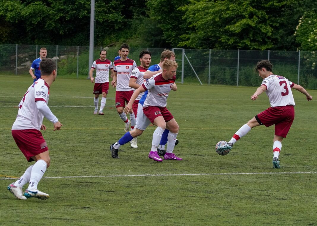 53762687353_8022d52203_k