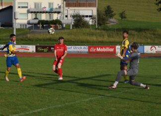 Küssnacht mit Remis gegen Willisau