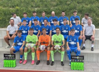 Gegen Cham: Gelungener Saisonauftakt für Sins