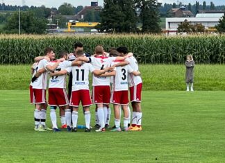 Triengen verliert Startspiel gegen 3. Liga-Absteiger deutlich