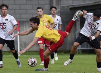 Goldau unterliegt Aufsteiger Malcantone