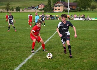 Derbysieg für Nottwil in Sursee
