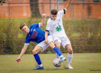 Hochdorf kämpft sich gegen Littau zum Sieg