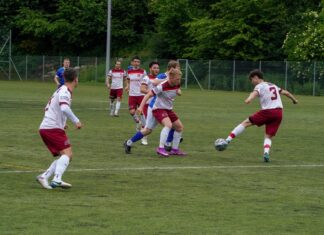 Auch gegen Willisau: Rothenburg bleibt zuhause ohne Punktverlust