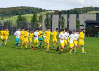 Hitzkirch mit Pflichtsieg auf dem Hegler