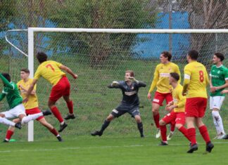 Harmlose Goldauer verlieren in Thalwil