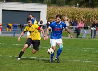 Hart erkämpfter Punkt für Grosswangen-Ettiswil gegen Hochdorf