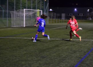 Küssnachter Frauen holen Punkt in Sion