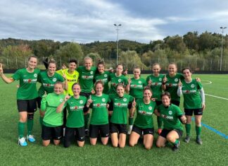 Luzerner SC kehrt gegen Willisau zum Siegen zurück