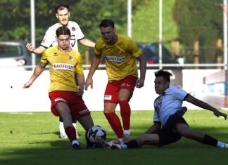 Krisengipfel in Goldau und Ibach empfängt Thalwil