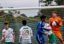 SC Kriens mit Niederlage gegen Dinamo Tiflis