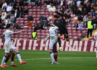 Niederlage in Genf: Luzern wird ein reguläres Tor aberkannt