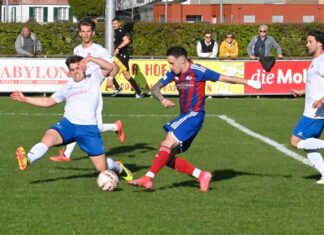 Brunnen mit Remis gegen Cham II