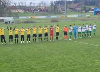 Schmeichelhaftes Remis für Grosswangen-Ettiswil gegen Eich