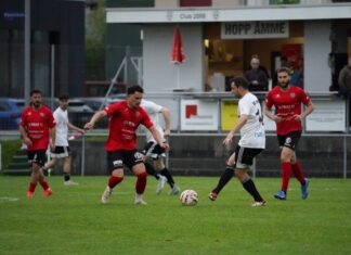 Emmen mit hochverdientem Heimsieg