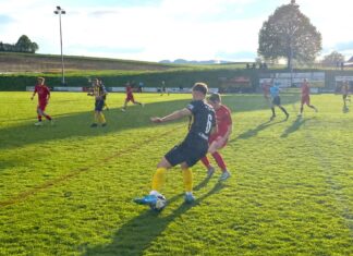 FC Gunzwil: Verdienter Punktegewinn gegen Willisau
