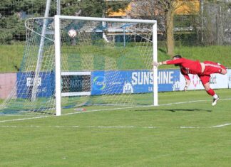 Zug 94 überzeugt auch gegen Emmen