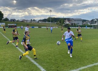 Gunzwil mit knappem Heimsieg gegen Aegeri