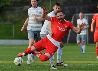 Schwyz wahrt mit Heimsieg gegen Hochdorf die Aufstiegschance