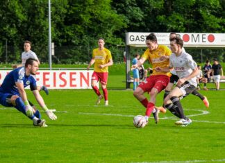 Goldau gewinnt letztes Saisonspiel gegen Emmen