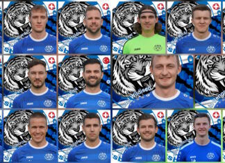 Trainerstaff und 17 Spieler verlassen Hochdorf