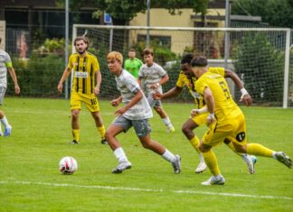 FC Hochdorf: Frischer Wind für die 2. Liga Regional