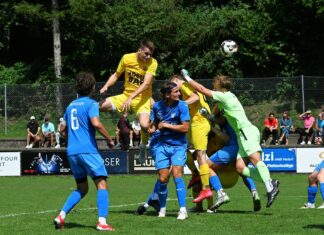 FC Sins: Unnötige Niederlage in Altdorf
