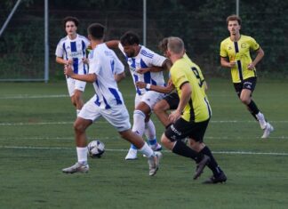 Eschenbach schlägt Hochdorf im Derby der Aufsteiger