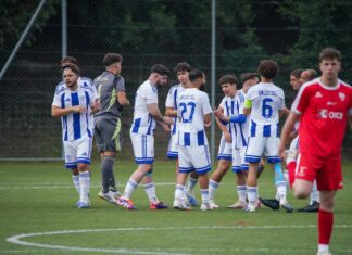 Gegen Willisau: Erster Punkt für den FC Hochdorf!