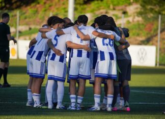 Sempach feiert gegen Hochdorf ersten Sieg der Saison
