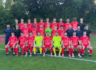 Sursee unterliegt Malcantone