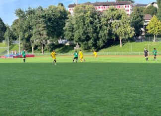LSC holt gegen Hitzkirch ersten Saisonsieg