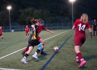 SG Stans-Engelberg gewinnt auch zweite Partie mit 1:0