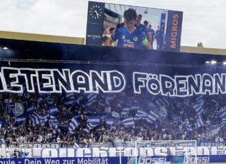 Geschäftsbericht 2024/25 – Der FC Luzern schliesst mit Gewinn ab