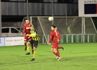 Gunzwil mit gerechtem Remis gegen Goldau