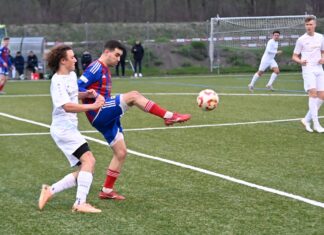 Brunnen scheitert an Willisauer Effizienz und Aluminium-Pech