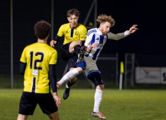 Eschenbach siegt im Seetalderby gegen Hochdorf