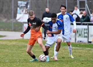 Schötzer Defensive glänzt – Punktgewinn gegen Leader GC