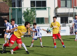 Gegen Hochdorf: Go(a)ldau mit torreichem Heimsieg