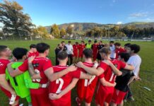 Horw nützt Fehler konsequent aus – Sursee unterliegt 1:3