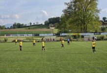 Grosswangen-Ettiswil bestätigt Formkurve mit Heimsieg gegen Horw