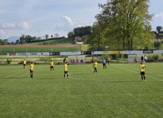 Grosswangen-Ettiswil bestätigt Formkurve mit Heimsieg gegen Horw